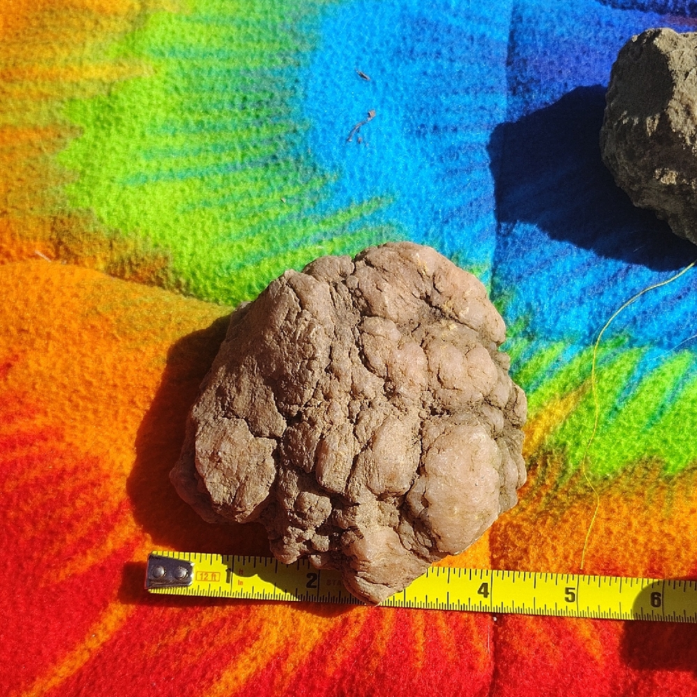 Natural Reptile Habitat Rock Decor